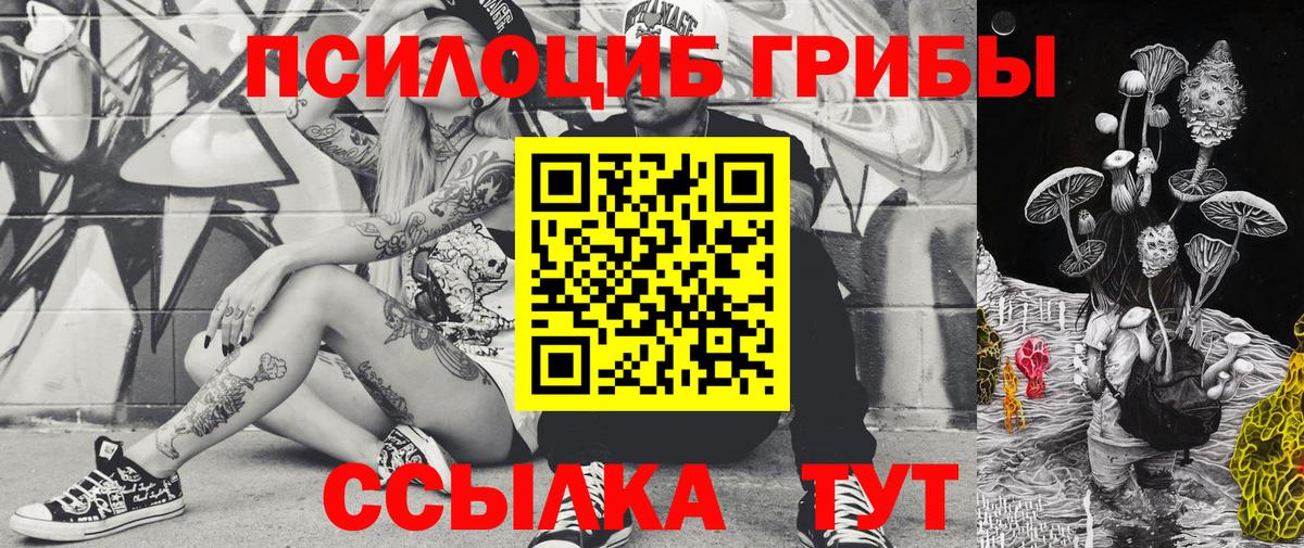 Галлюциногенные грибы Cubensis Железногорск
